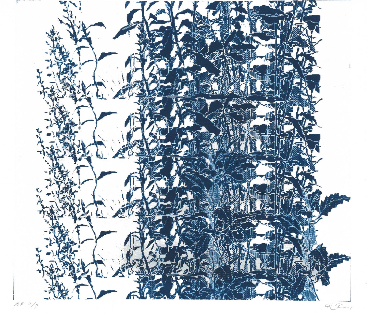 Naomi Nakazato Cyanotype No. 22 Summer 2/3