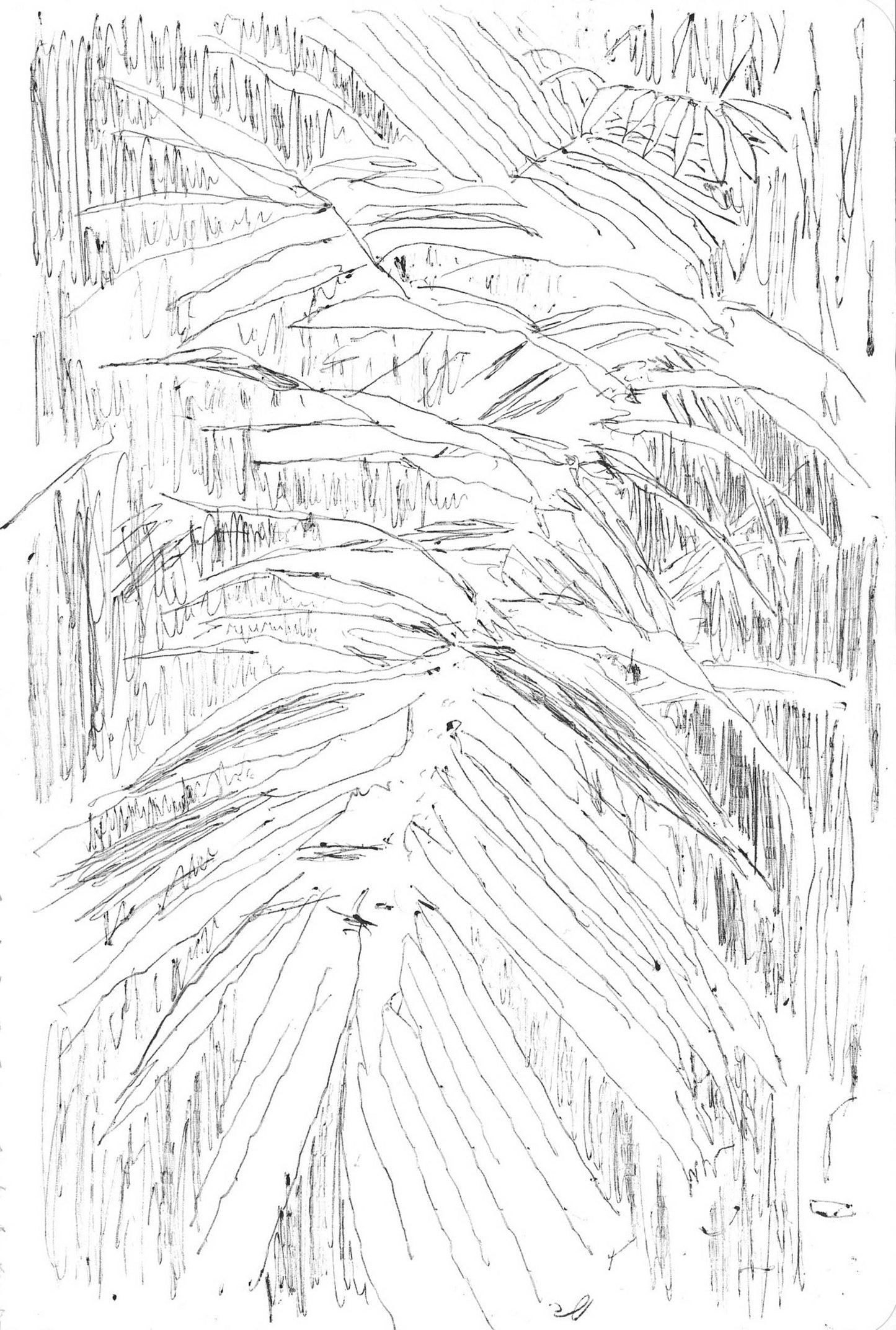 Abi Box #028 New York Botanical Gardens