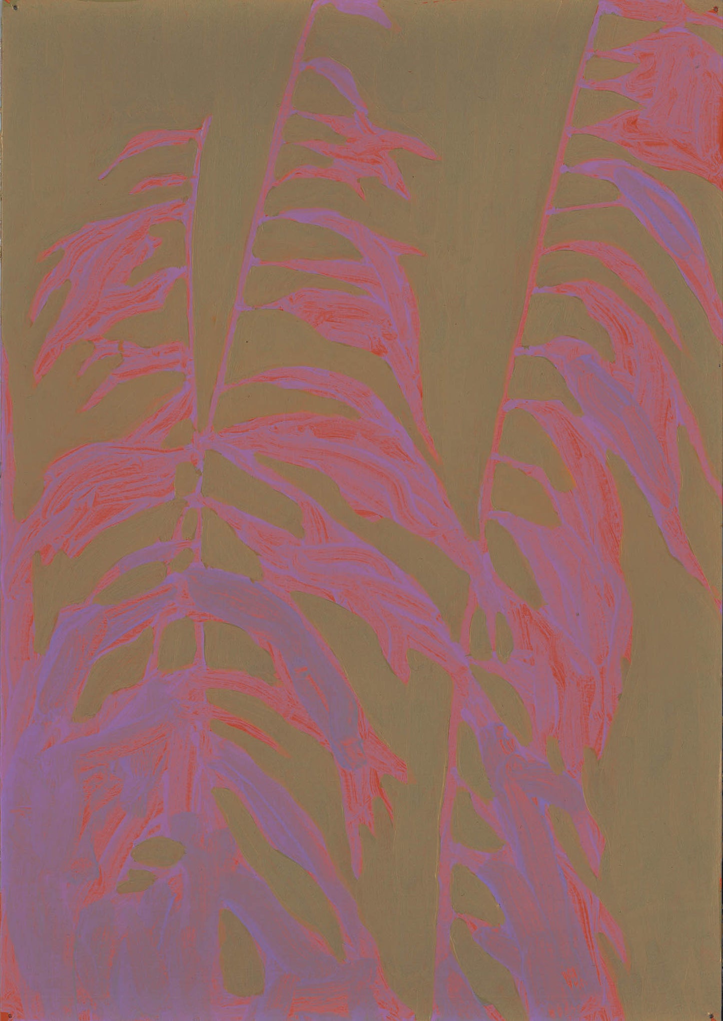 Mark Beldan Pampas Grass