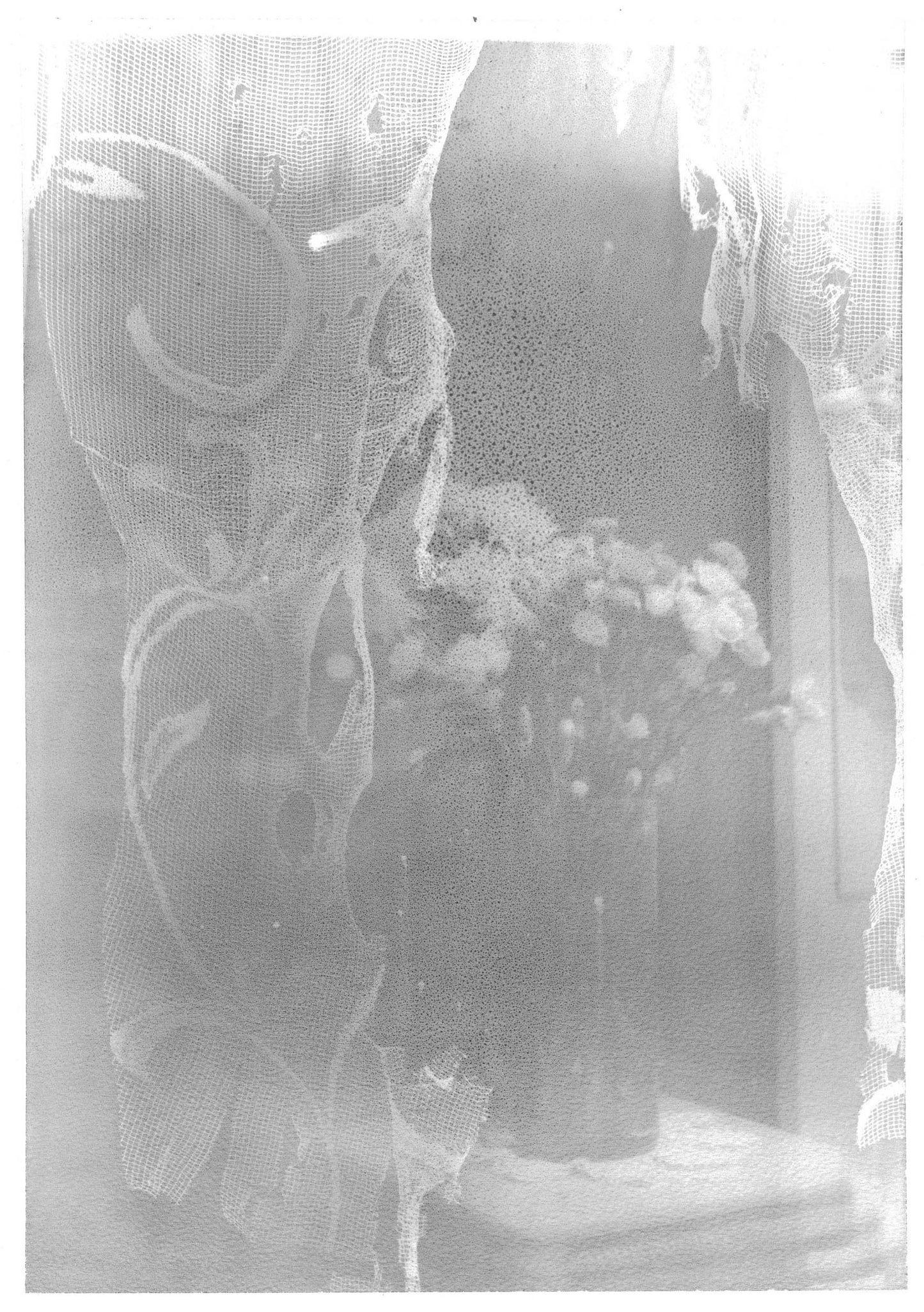 Michael Boffey Nocturne 1