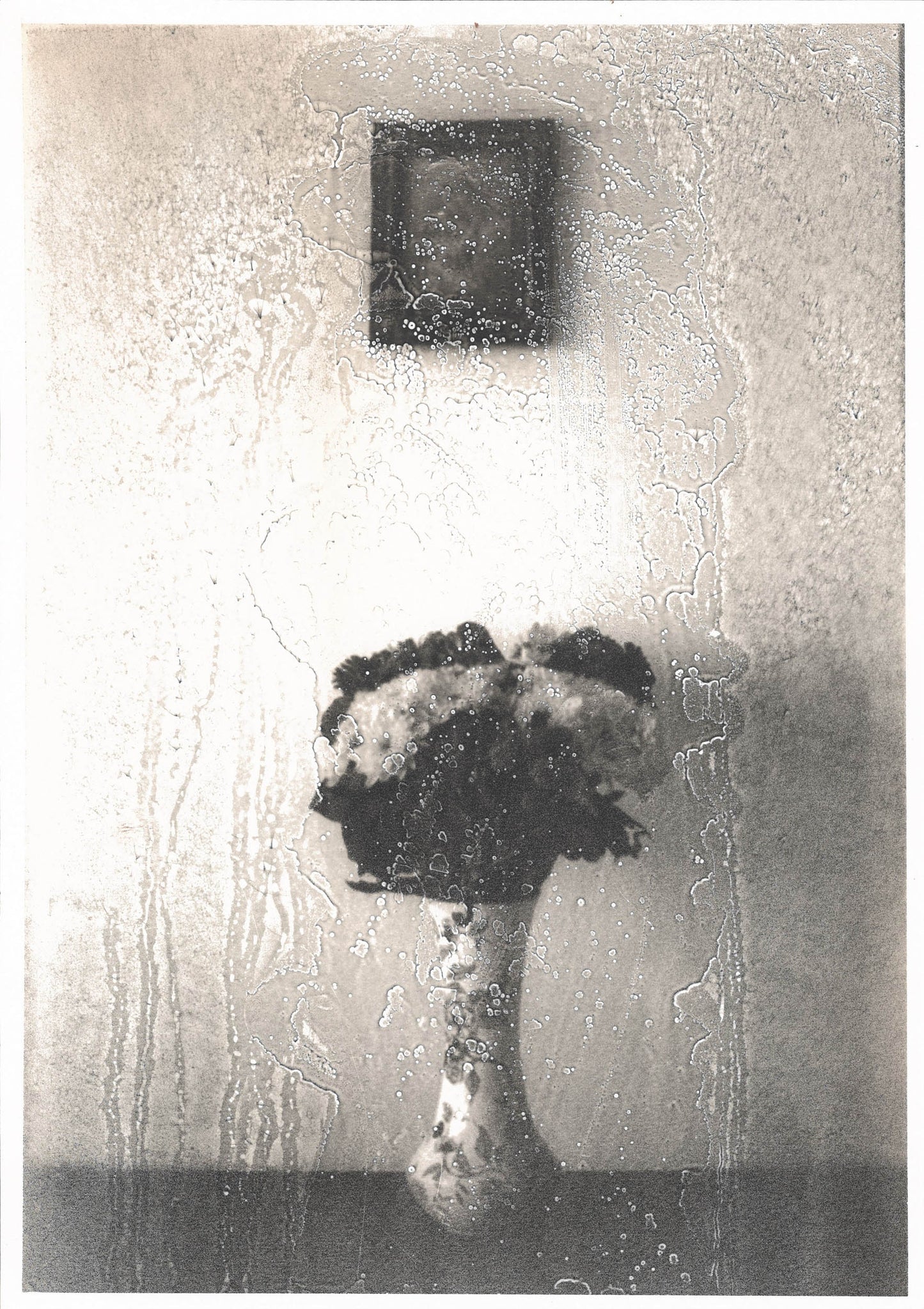 Michael Boffey Flowered Vase