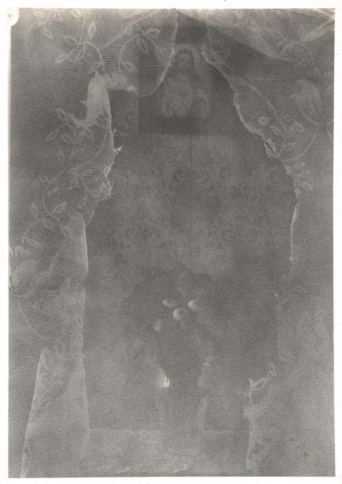 Michael Boffey Veiled Interior