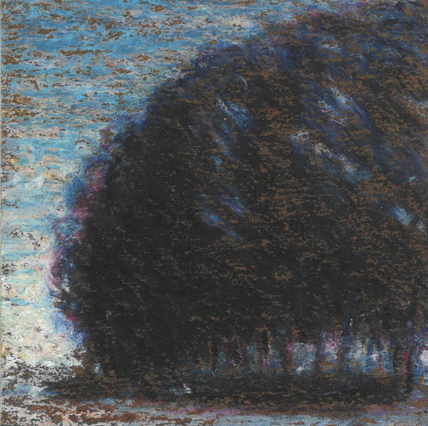 Raffaello Padovan Populus B