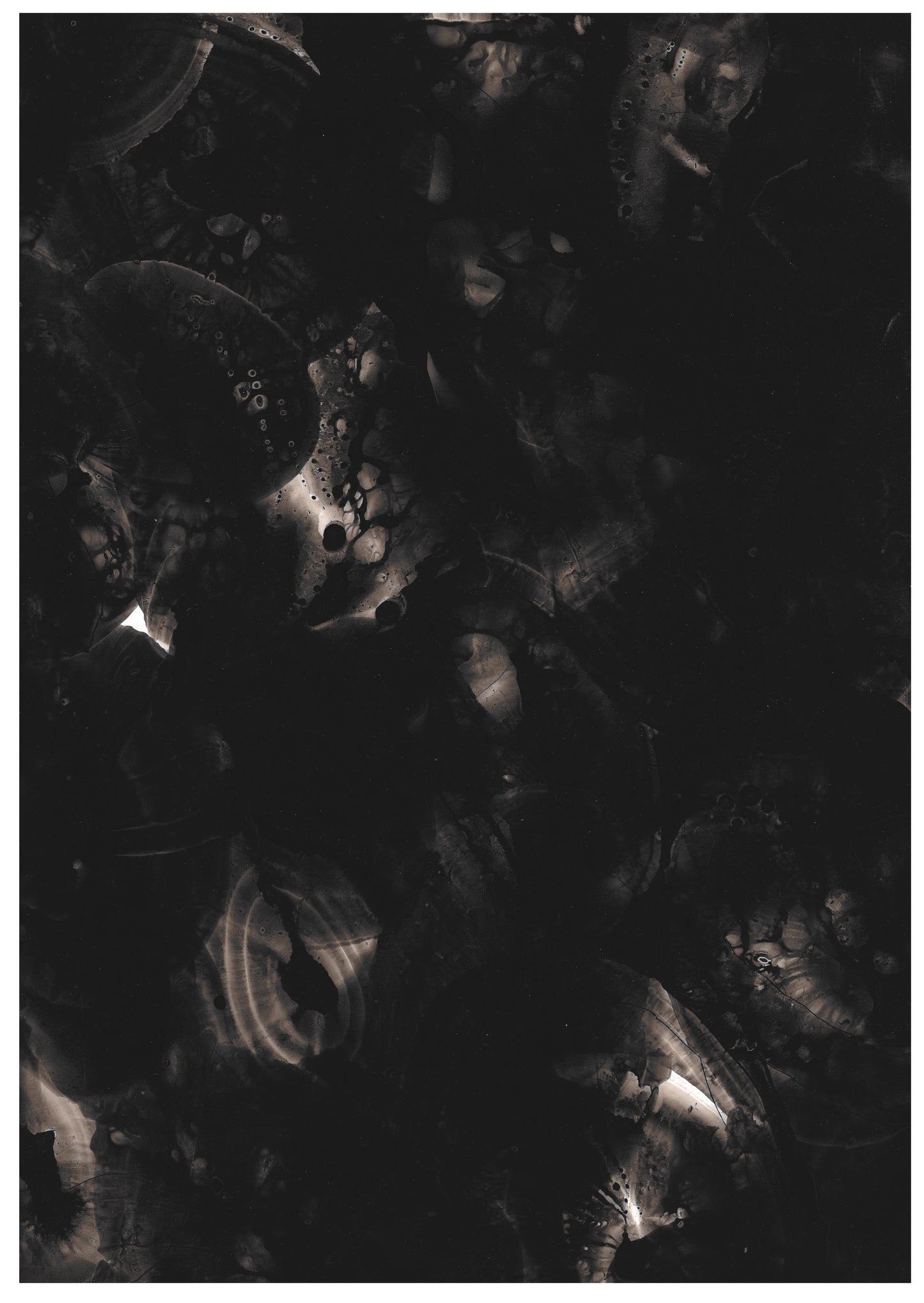 David Degreef-Mounier 13