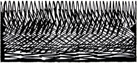 Kevin Jackson Shoreline