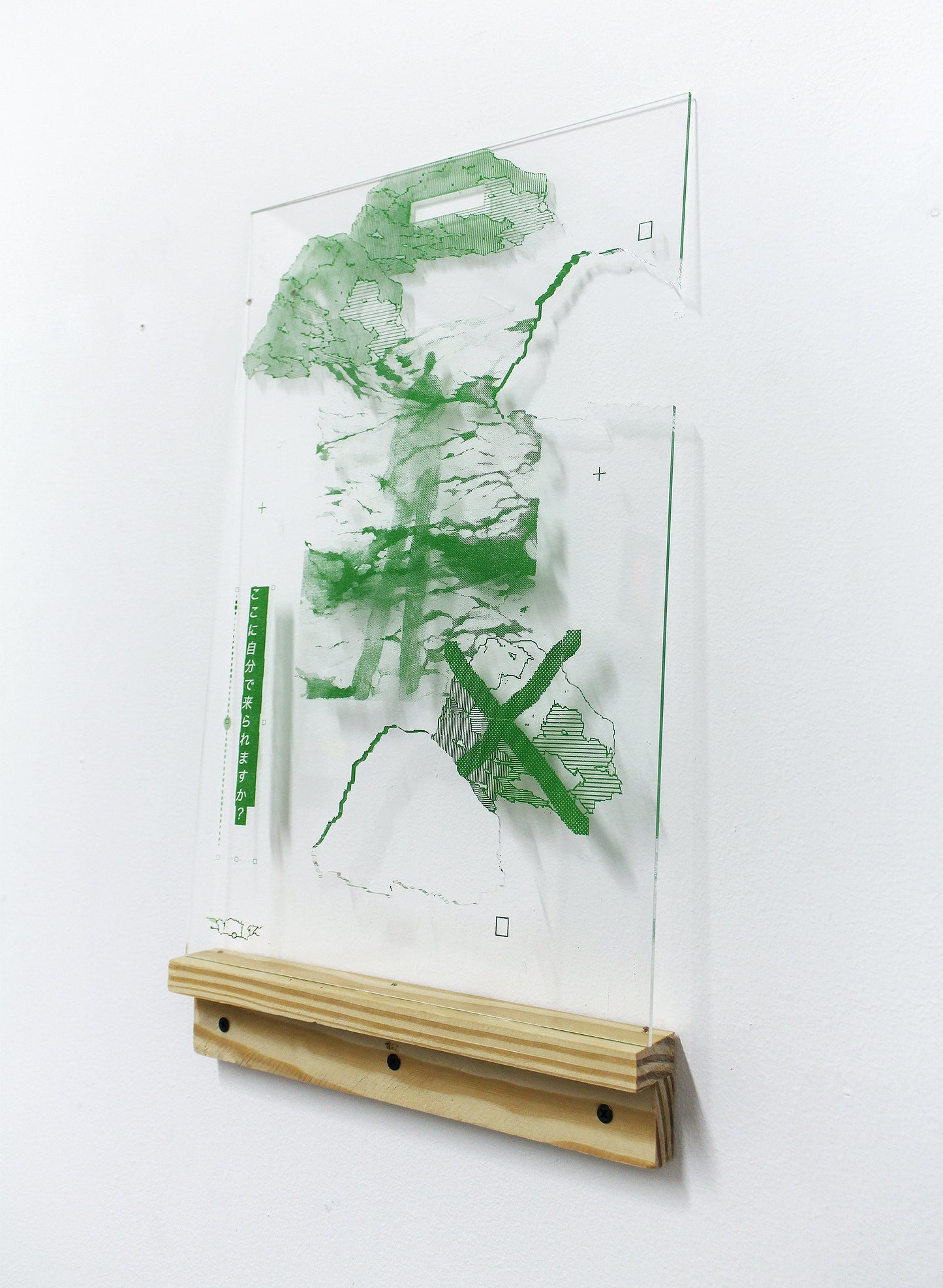 Naomi Nakazato As It Never Was
