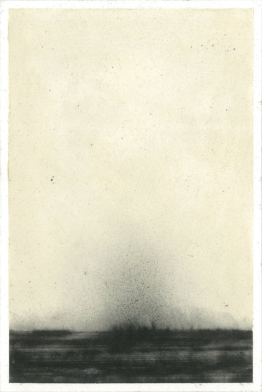 Patrizia Novello Processo #1