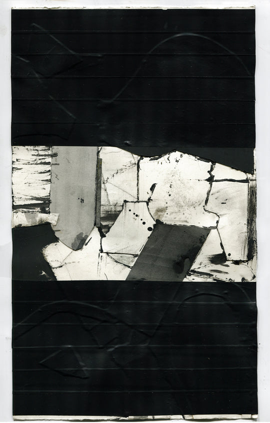 Strahil Penev Silicon Life Study 1