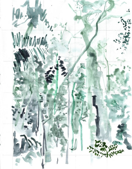 Abi Box #016 Below the Canopy, Peruvian Rainforest, Tambopata