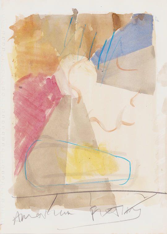Daniel Pettitt American Fictions B