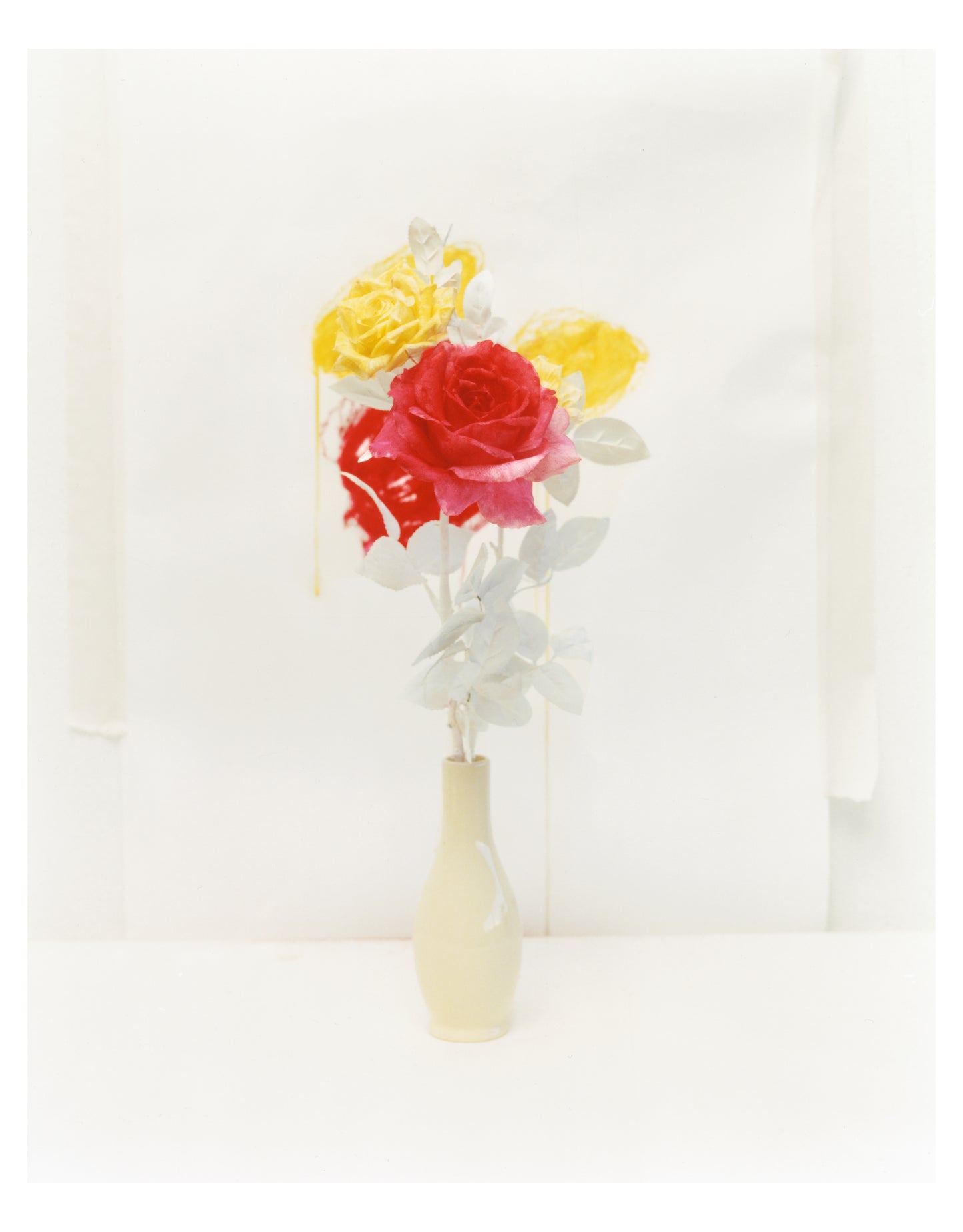 Clarisse d'Arcimoles The Tinted Flower Series 7
