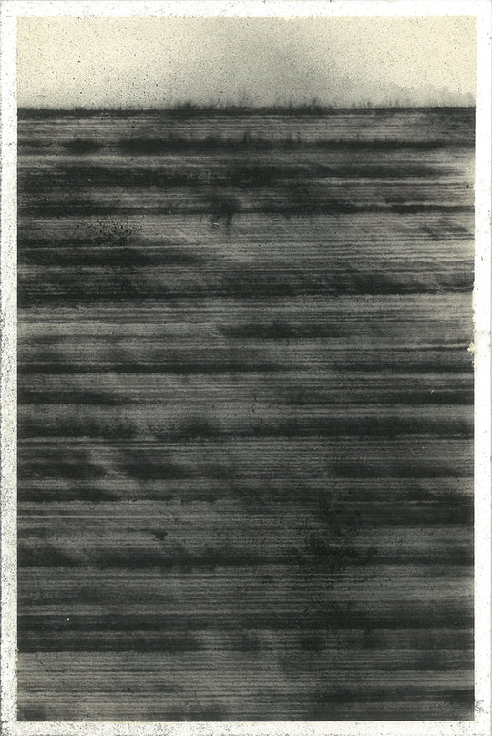 Patrizia Novello Processo #3