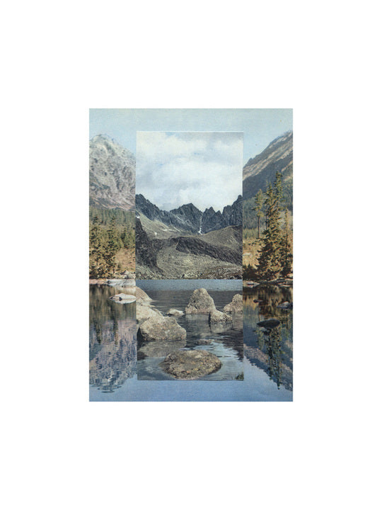 Vesna Vrdoljak Reflection