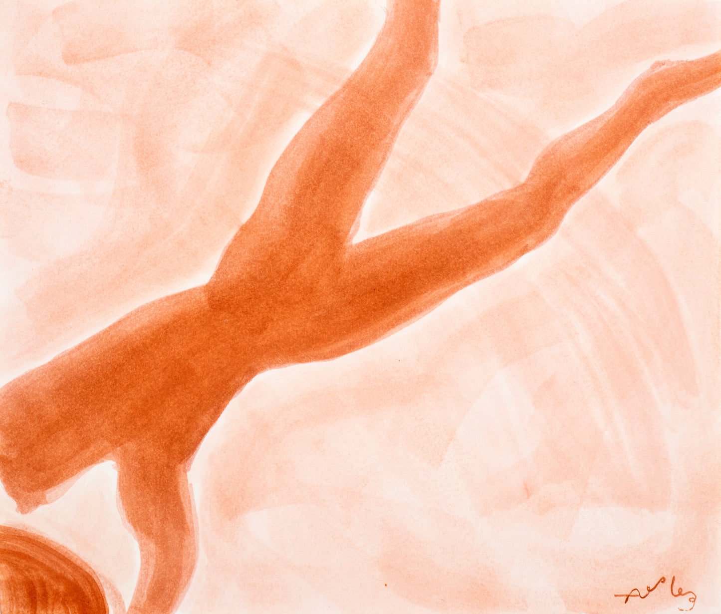 Anna van der Ploeg Dive Study