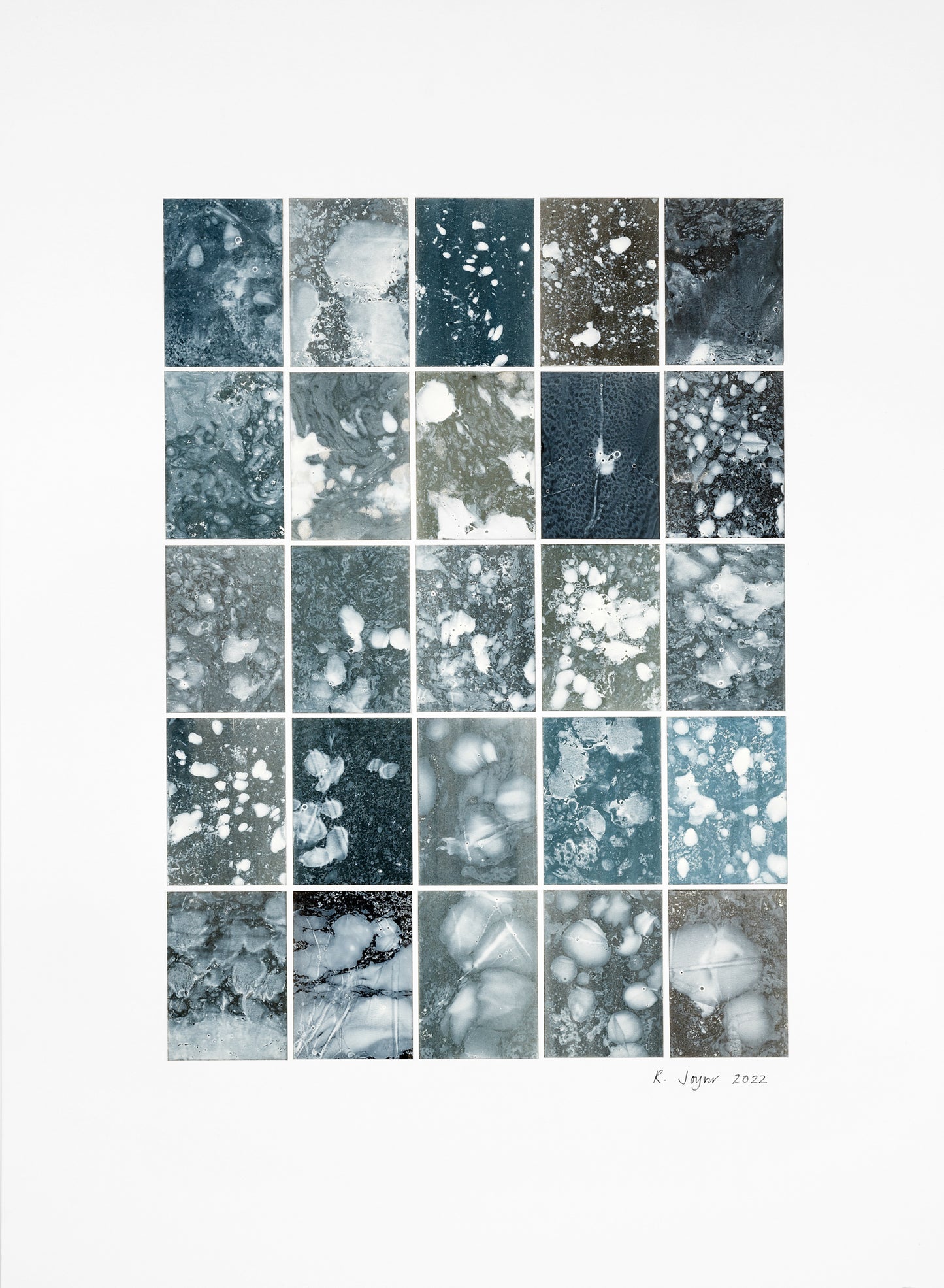 Rosemary Joynt Analogy 4