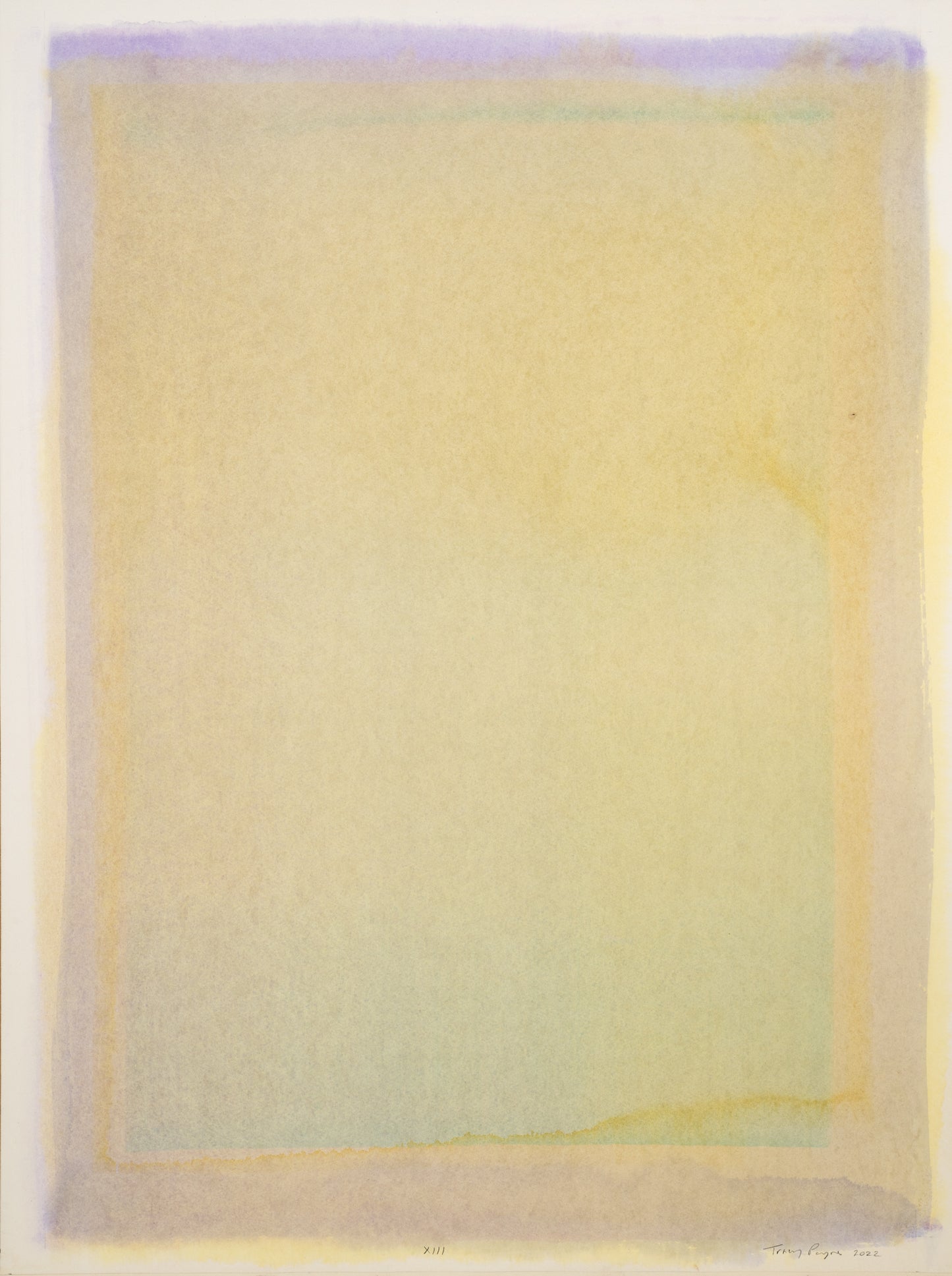 Tracy Payne Veils XIII