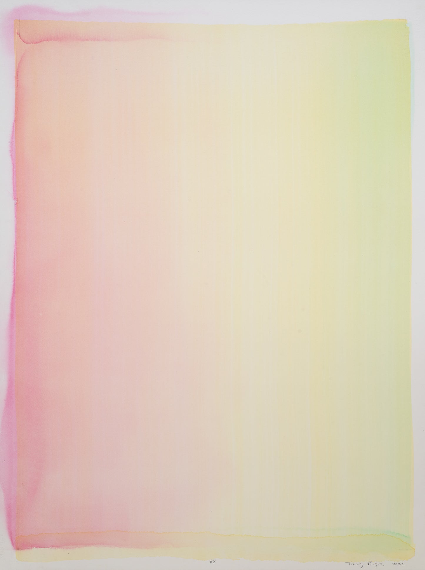 Tracy Payne Veils XX