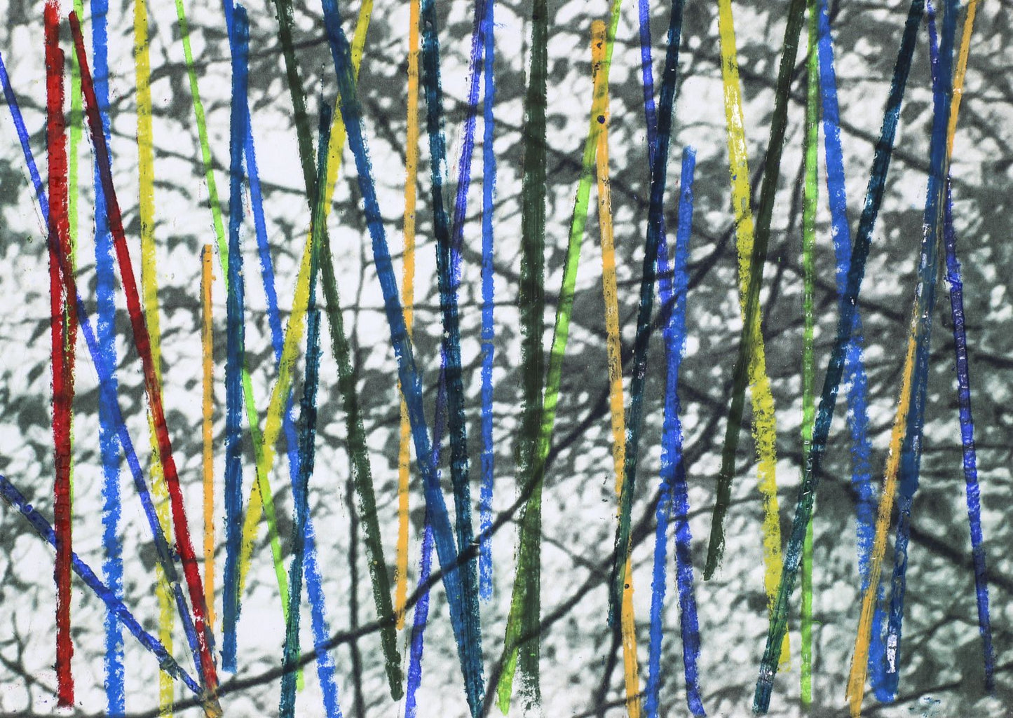 Alice Wilson Colour Study III
