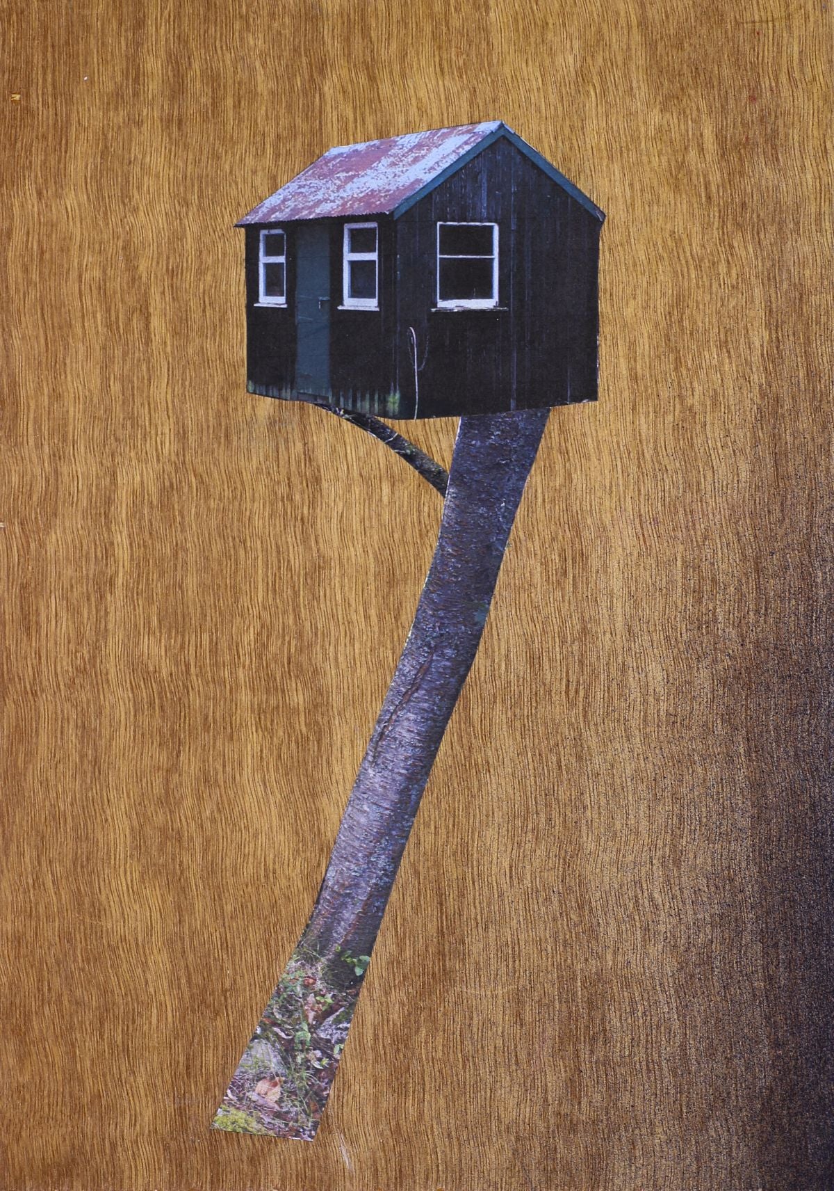 Alice Wilson Fishing Hut