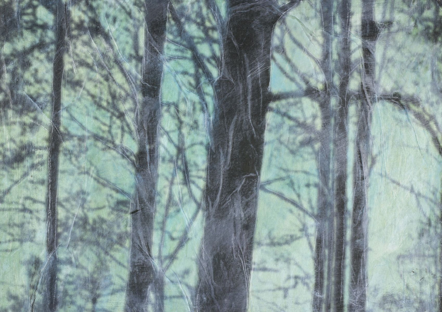 Alice Wilson Druie VIII