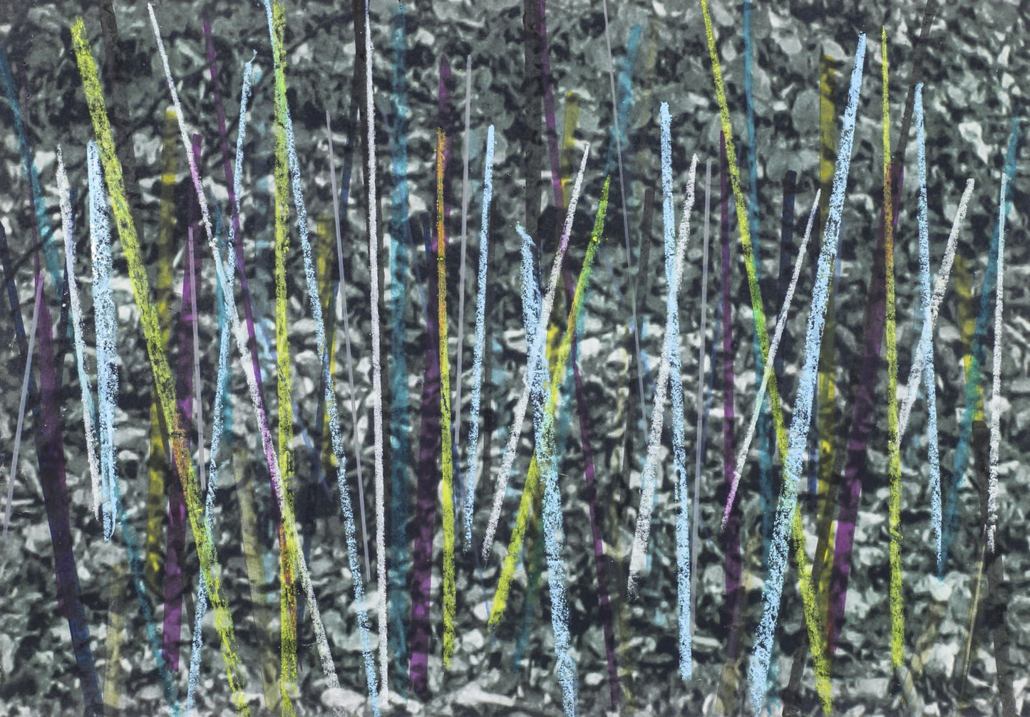 Alice Wilson Colour Study XII