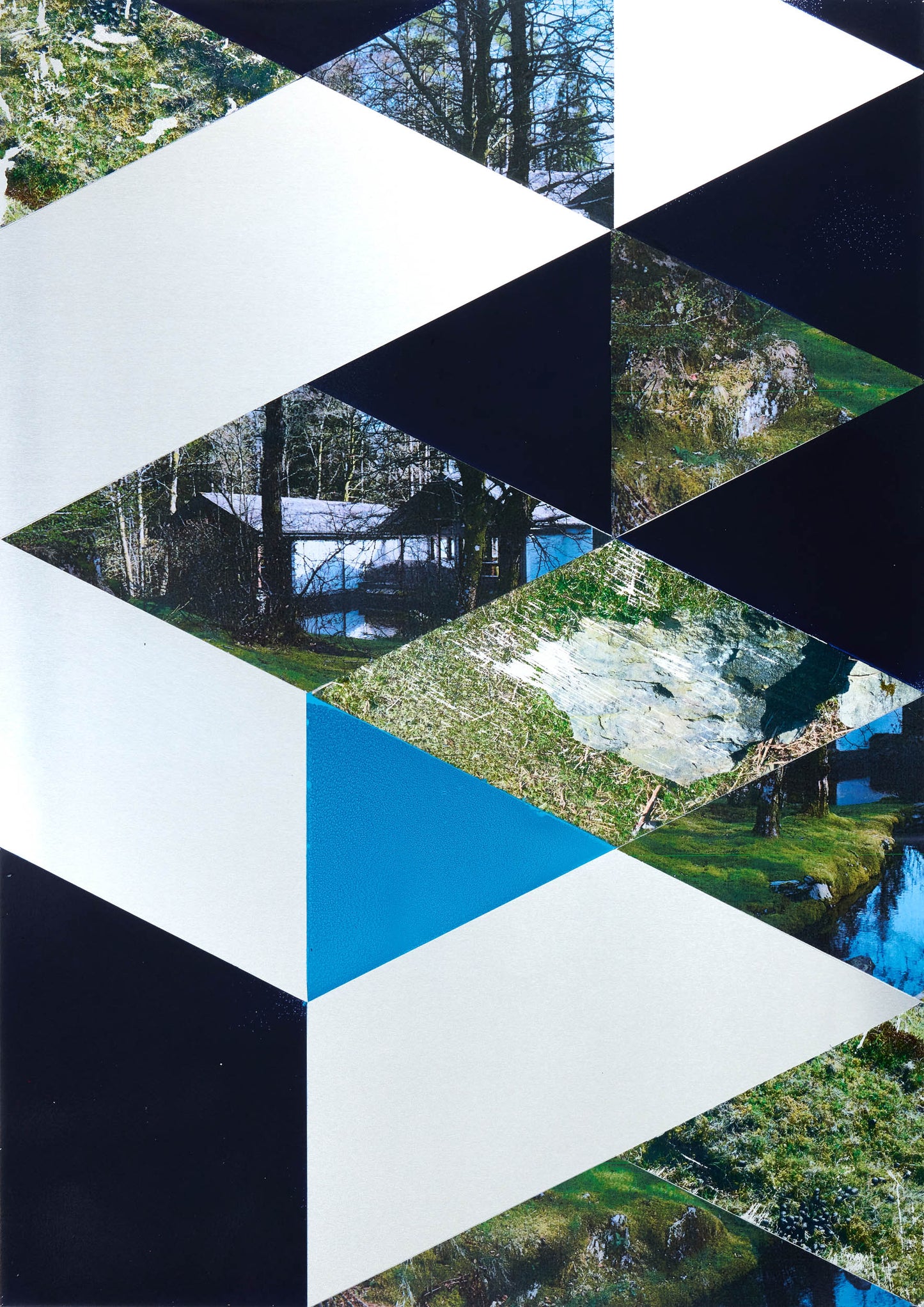 Alice Wilson Time Share and Trees 02