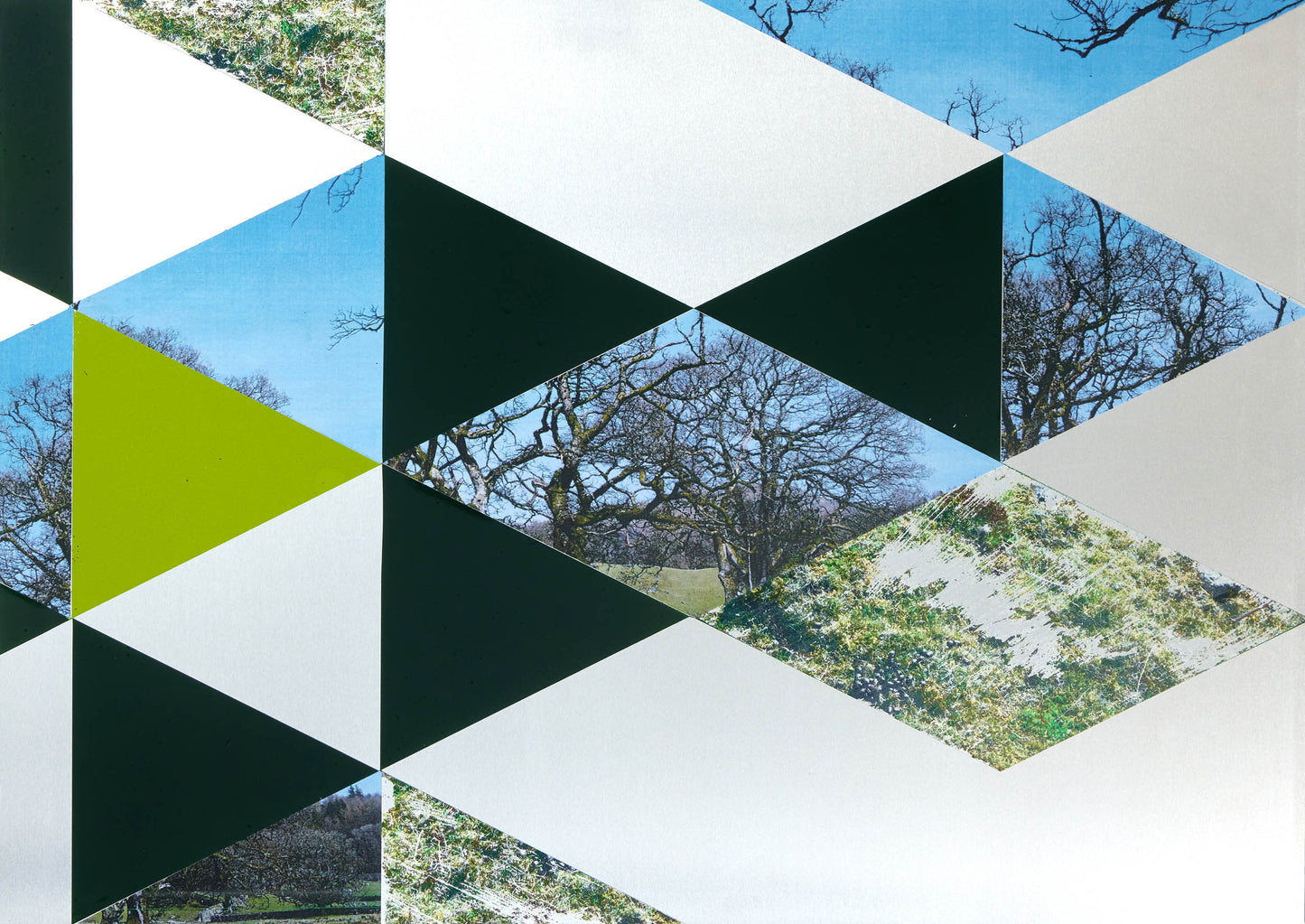 Alice Wilson Forest Green 02