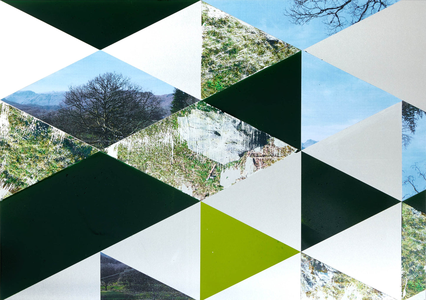Alice Wilson Forest Green 01
