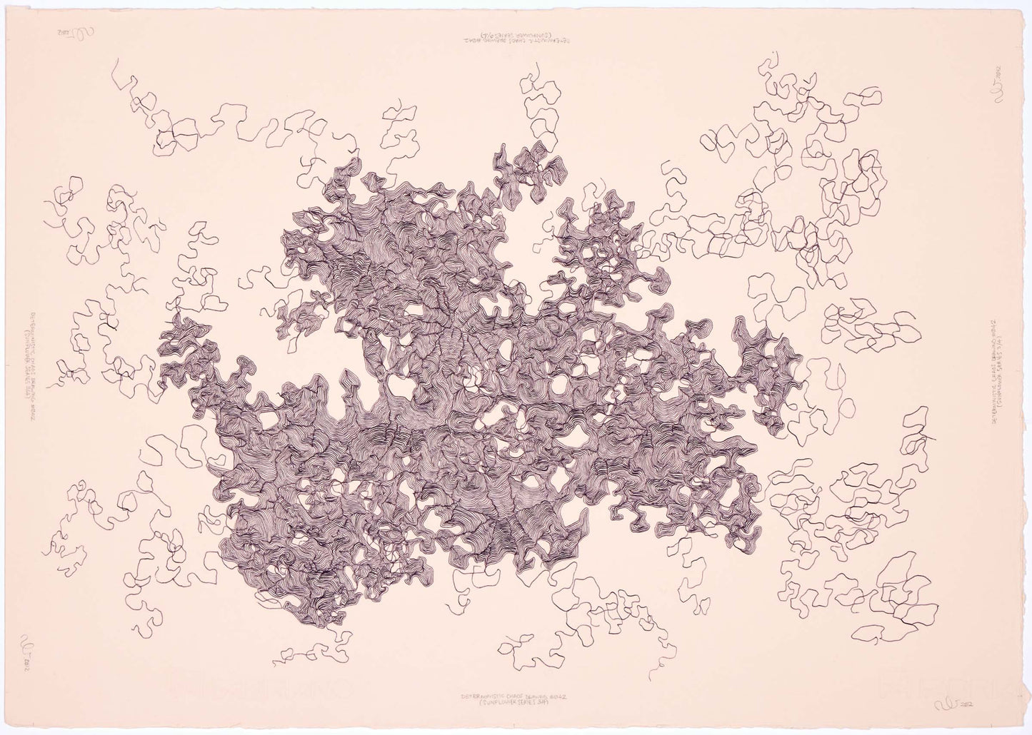 Neil Le Roux Deterministic Chaos Drawing #042 (Sunflower Series 3/4)