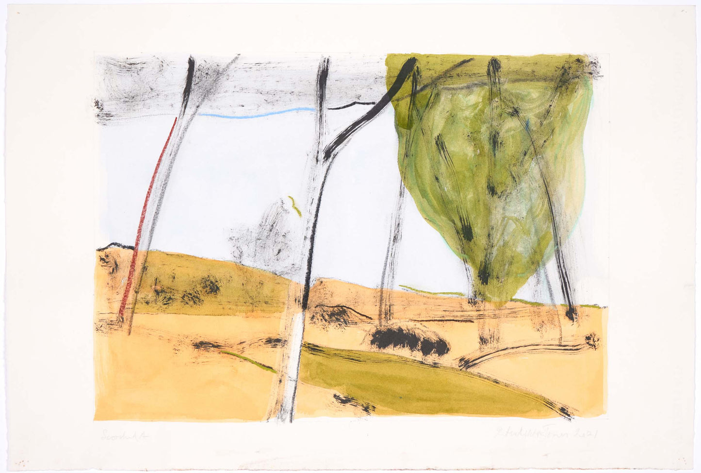 Peter Jones Scorch A Indian Inkwatercolourcharcoalpastelconte 42x30cm