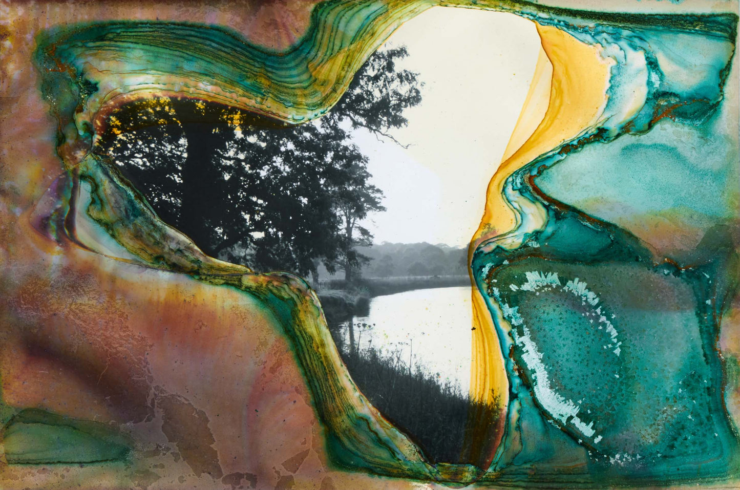 Sarah Tew Bassenthwaite