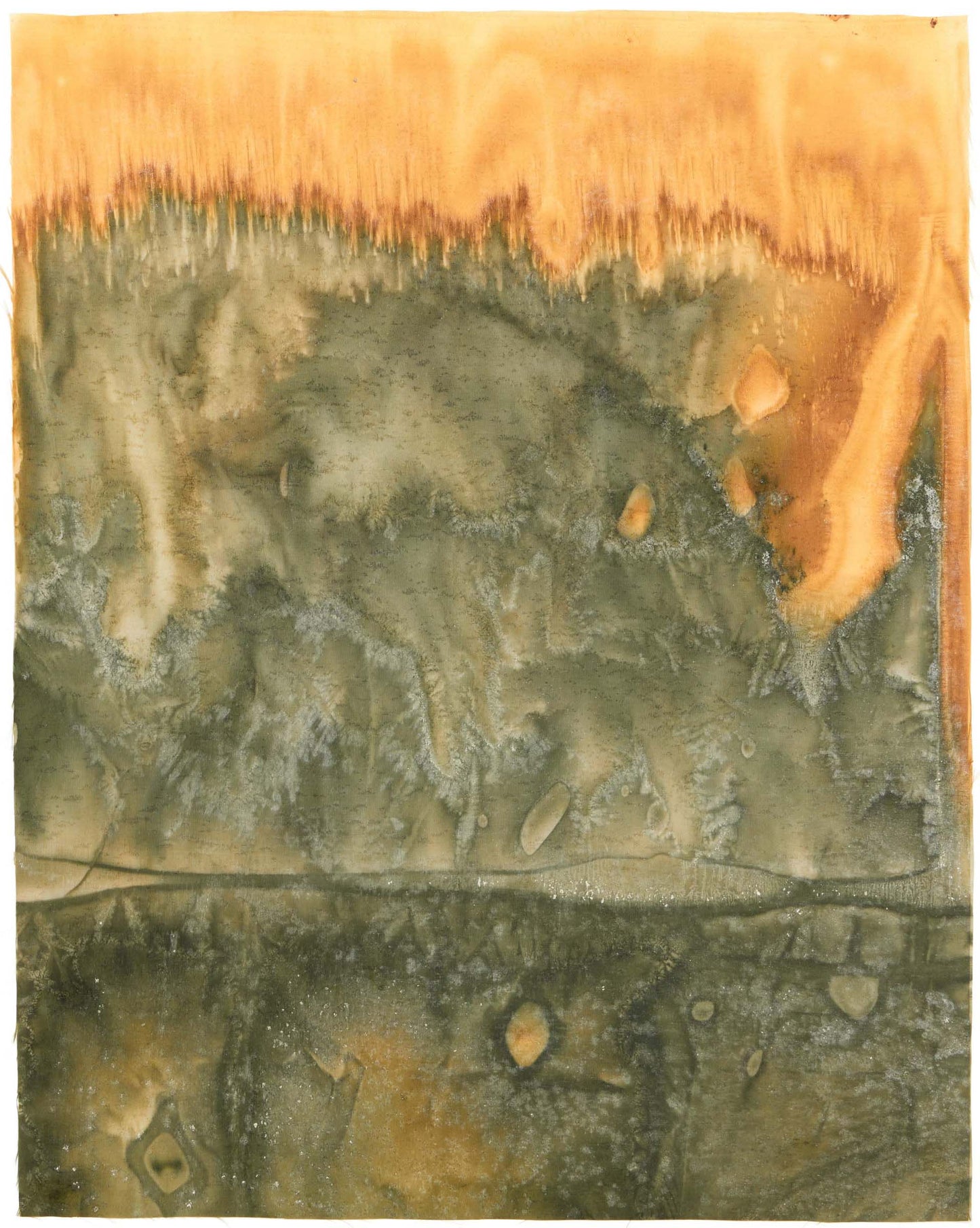 Sarah Tew Evergreen 2