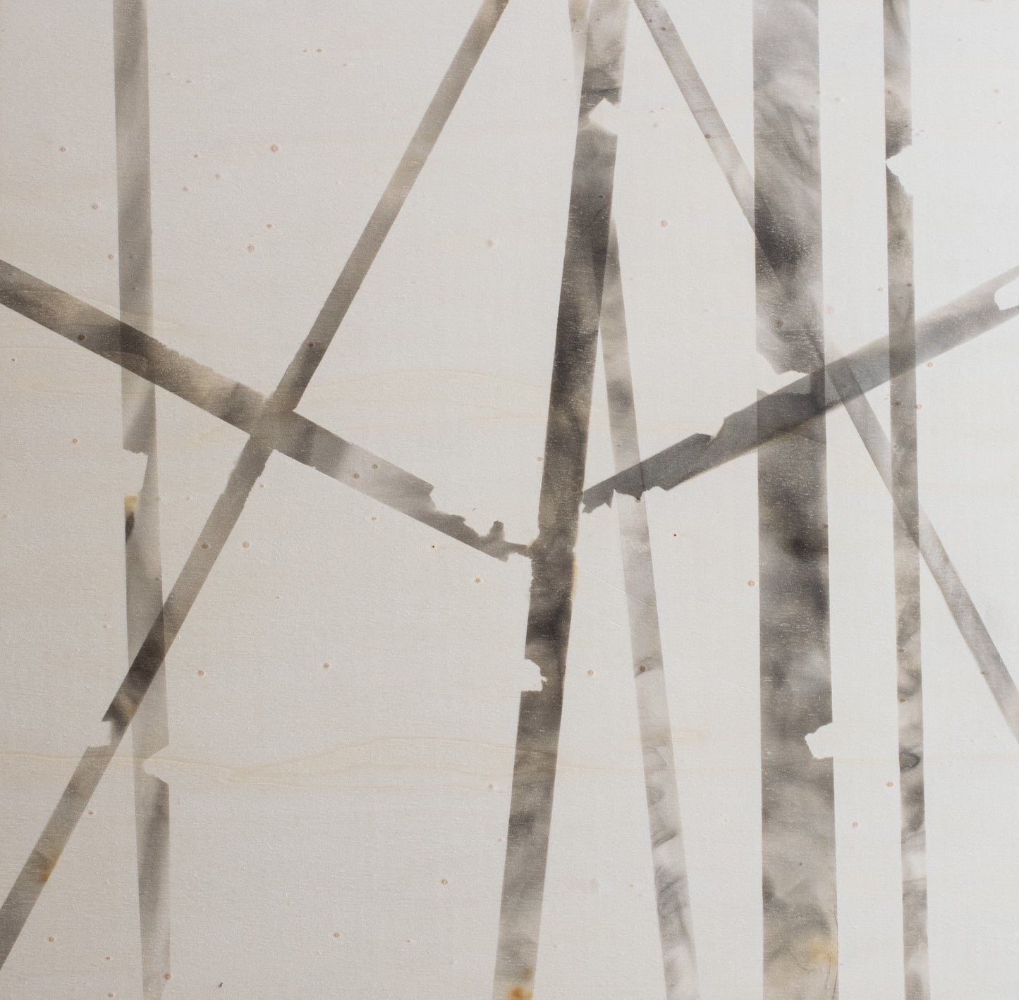 Arta Raituma Imprints and The Lost Forest