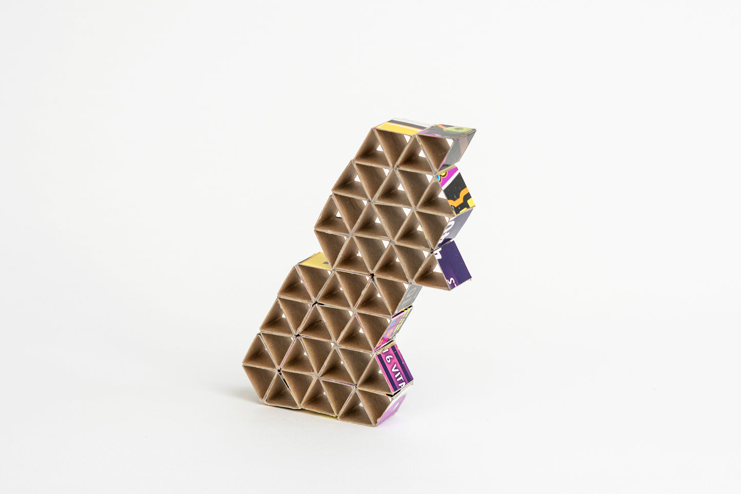 Bert Pauw One Day VIII