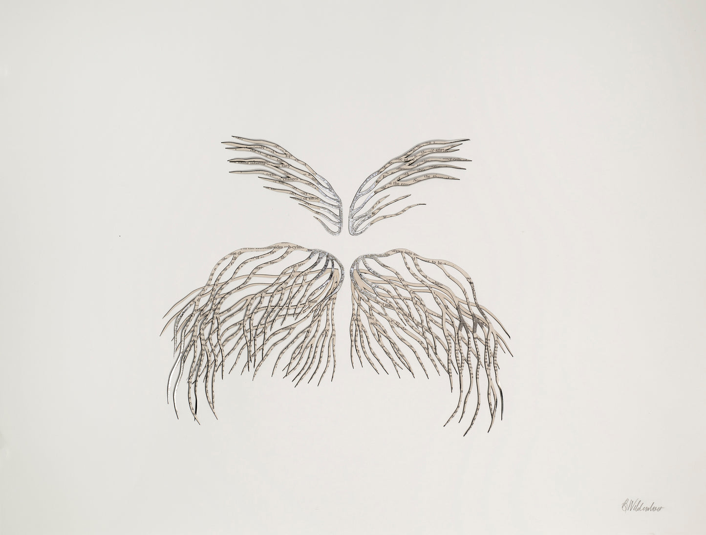 Barbara Wildenboer Cross Section X