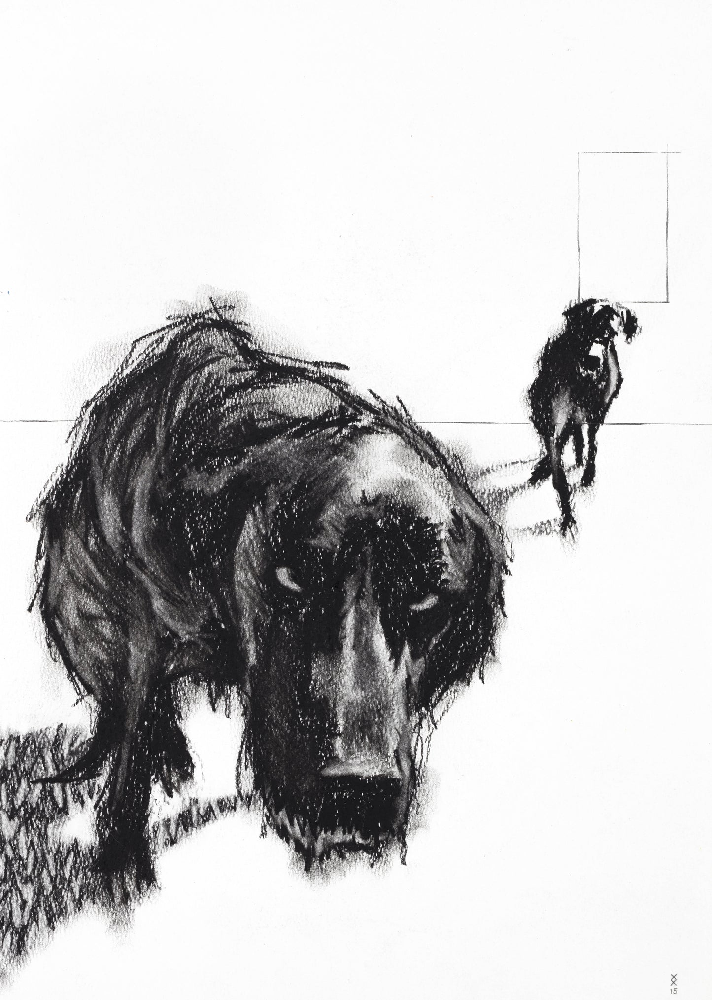 Dog Study 2