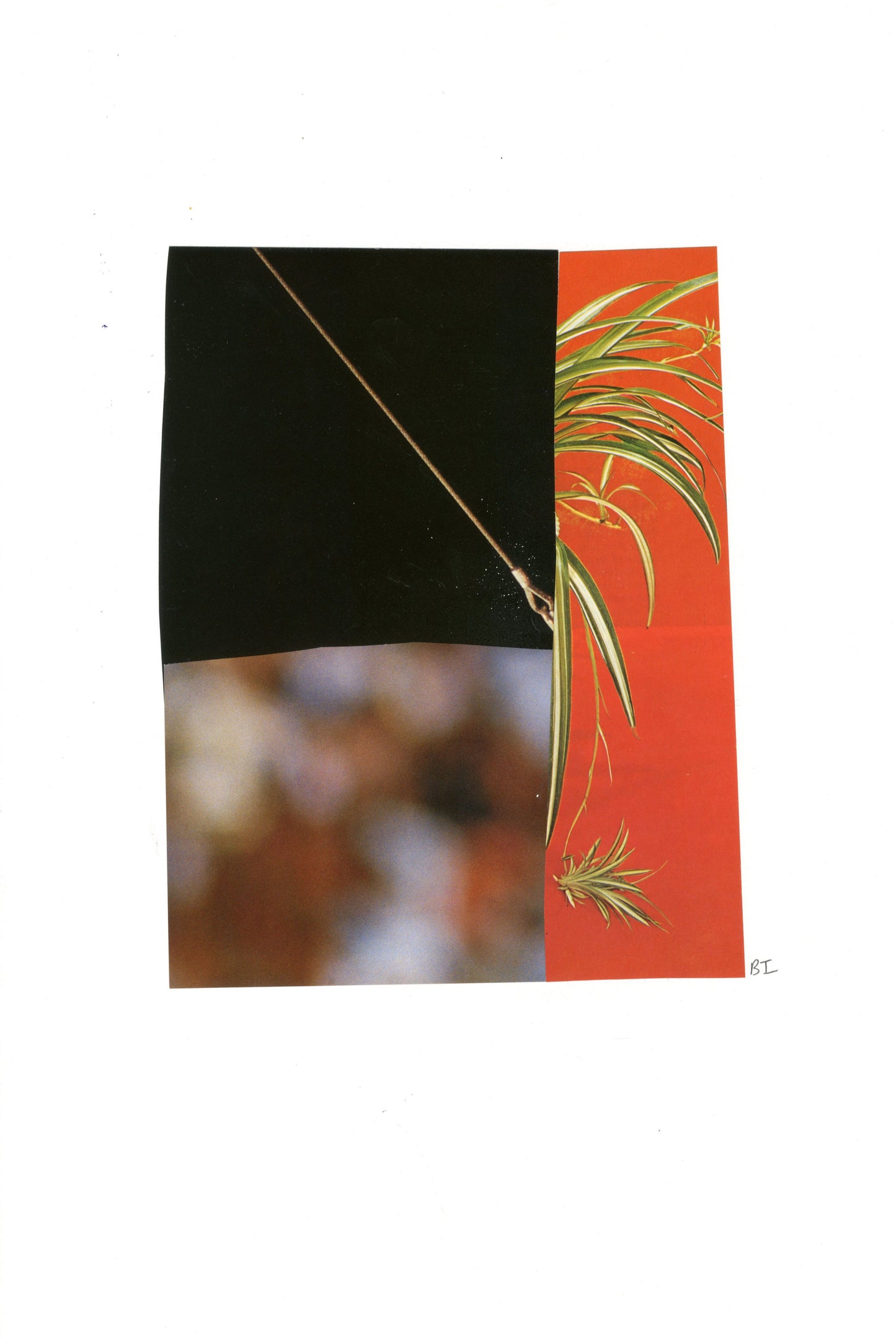 Bruce Ingram Moodboard: Taught Leaf
