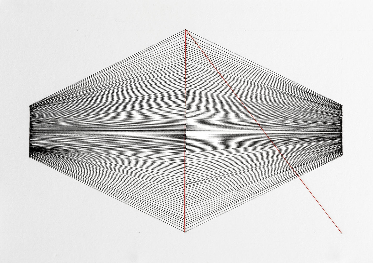 Daniel Machado Disentangle 05