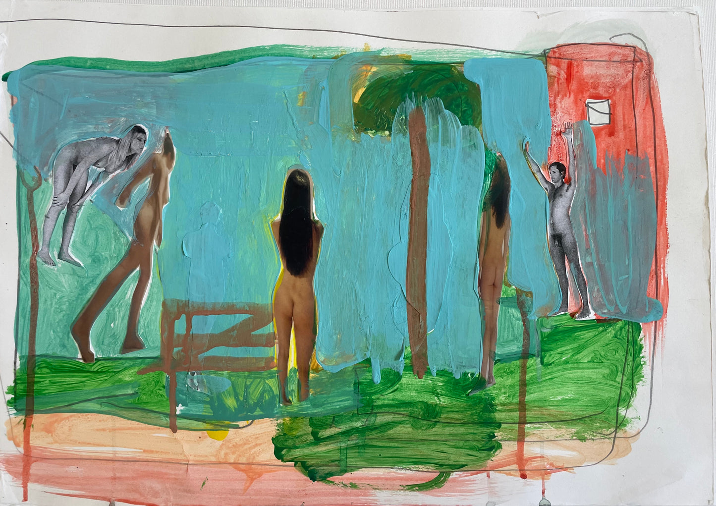 Dan Coombs Palm