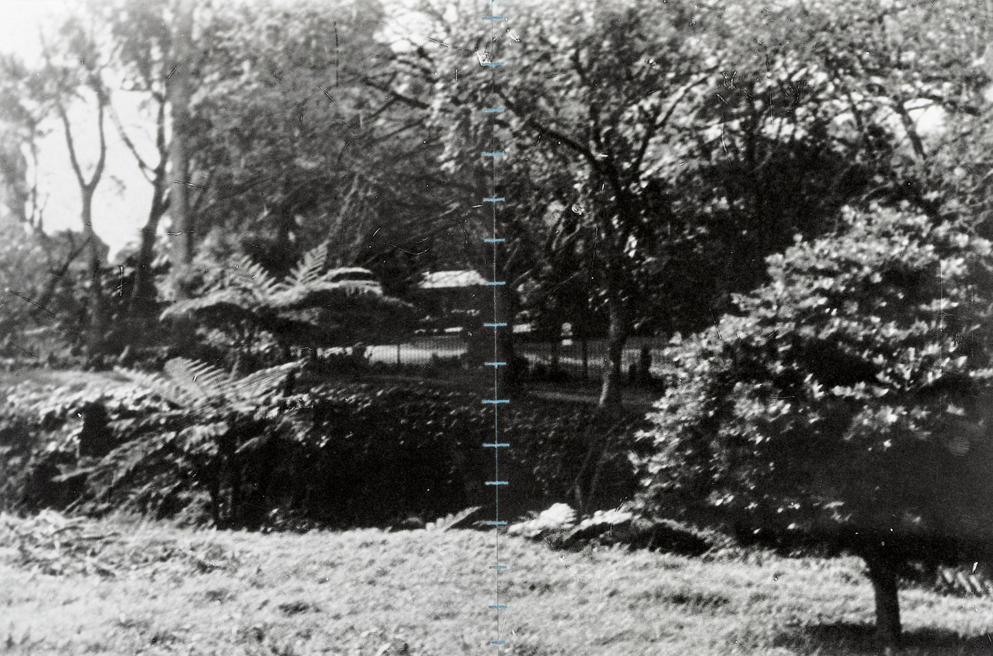 Nicolas Tanner Problems Of Perception Contents IVf