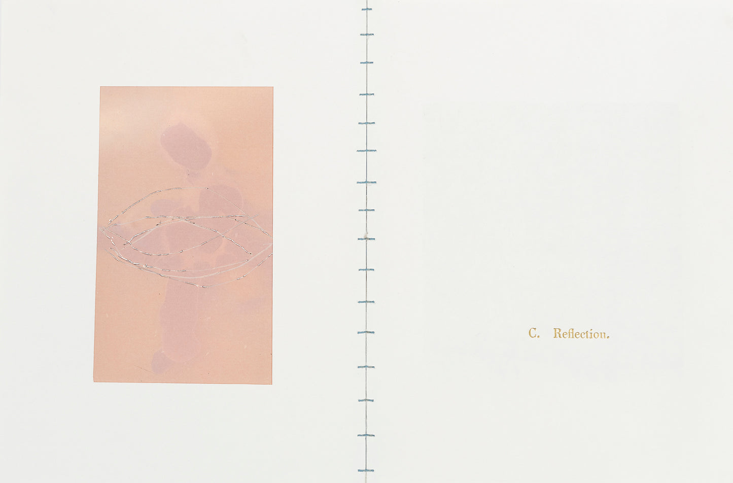 Nicolas Tanner Problems Of Perception Contents IVc