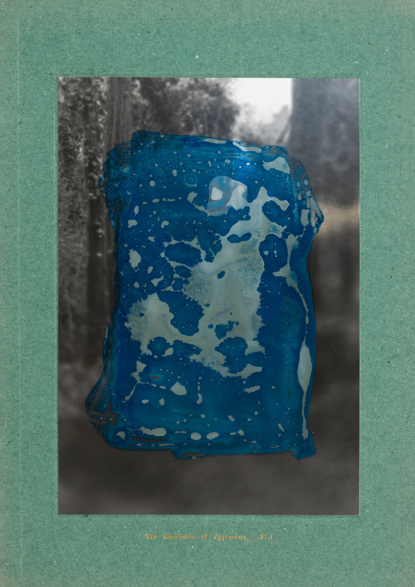 Nicolas Tanner The Dissolution Of Appearance I