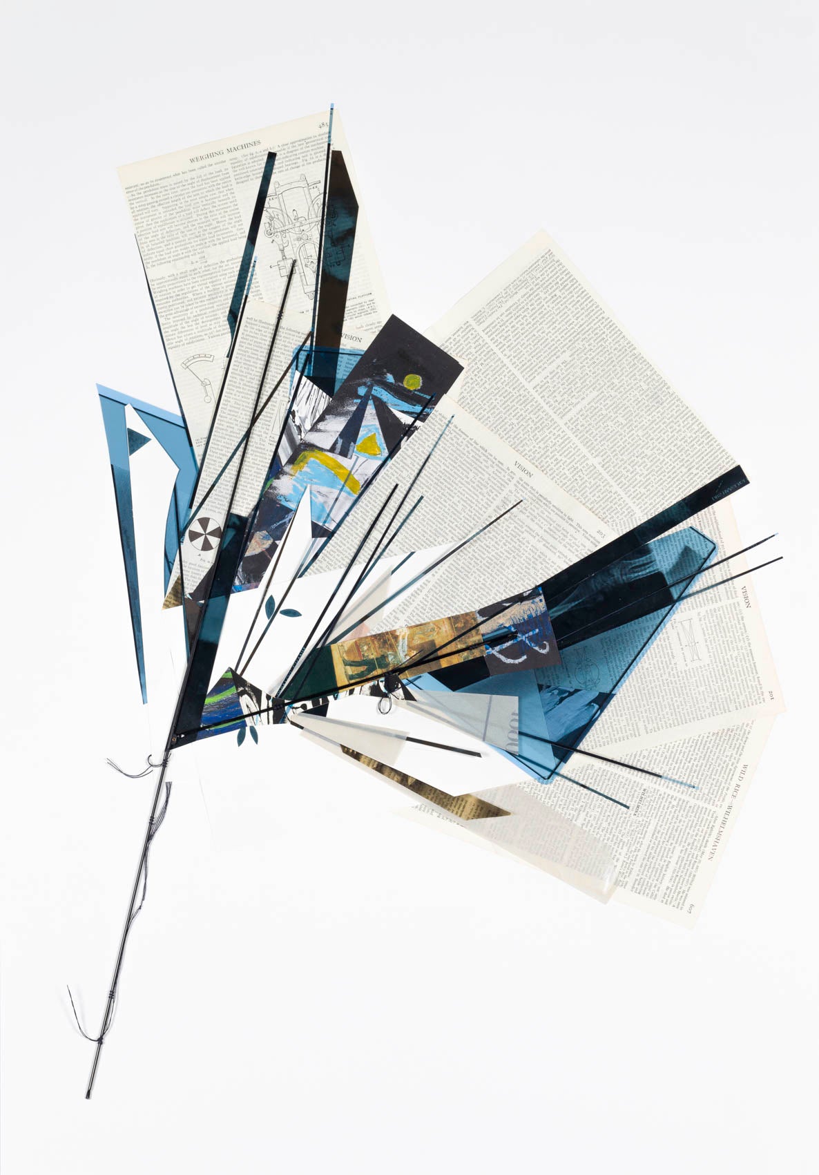 Neil Nieuwoudt Wild Rice