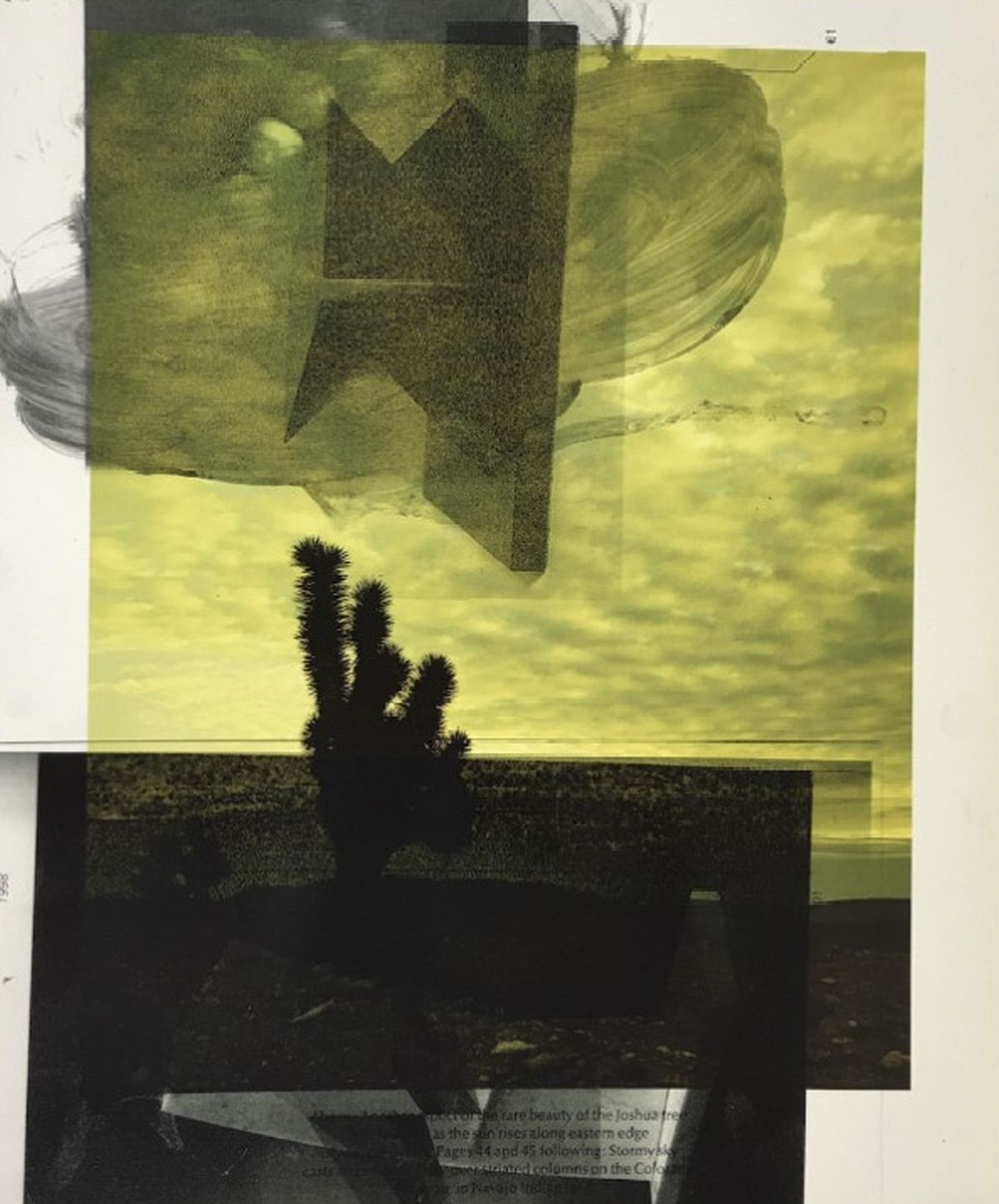 Peter Lamb Yellow