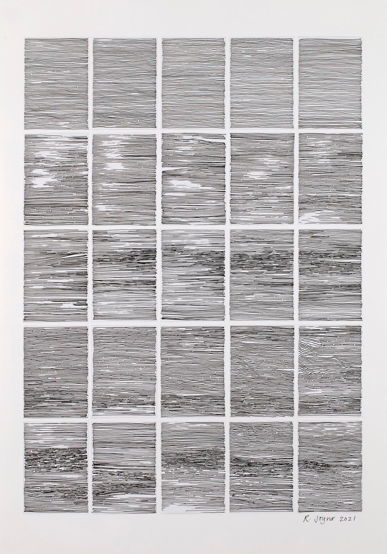 Rosemary Joynt Fault Lines 4