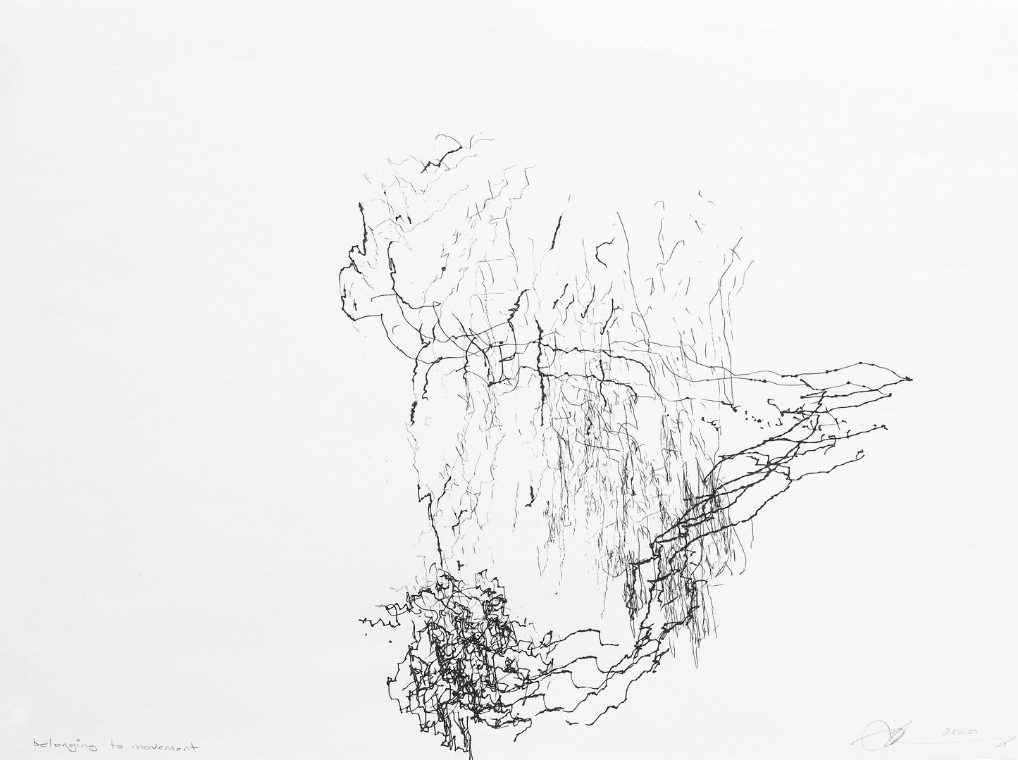 Sonya Rademeyer Belonging to Movement