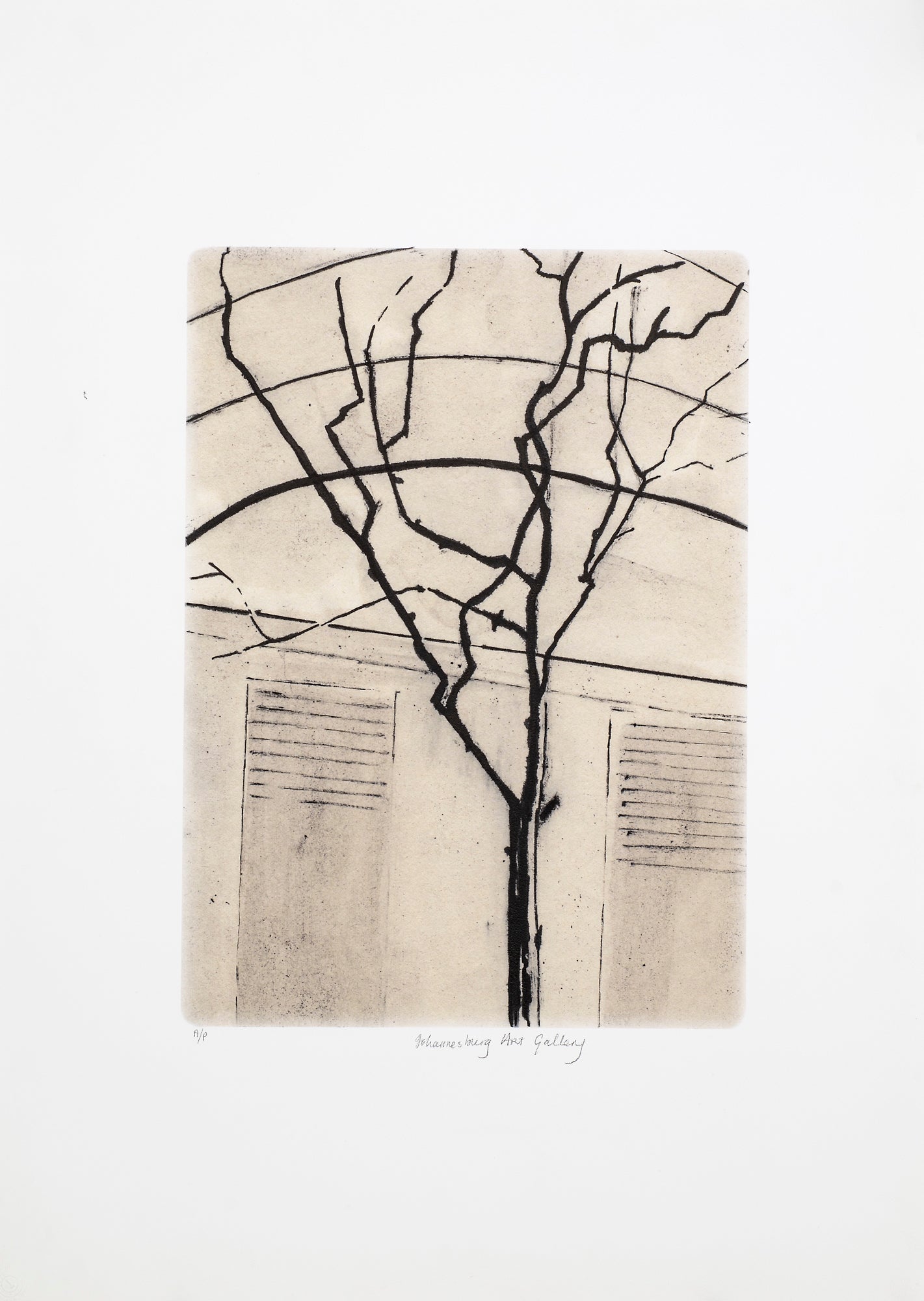 Sue Pam-Grant Johannesburg Art Gallery