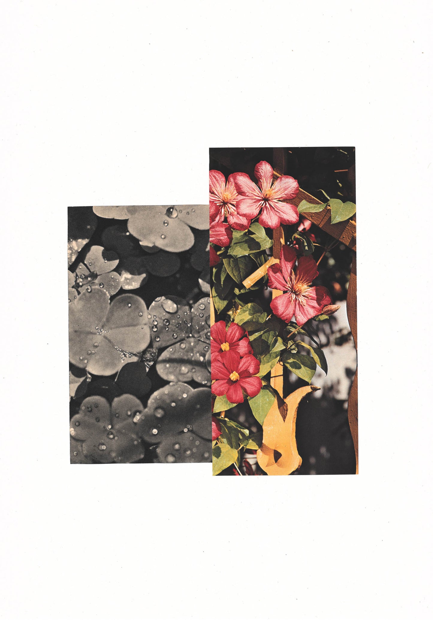 Eva Gjaltema Connect Disconnect7 7