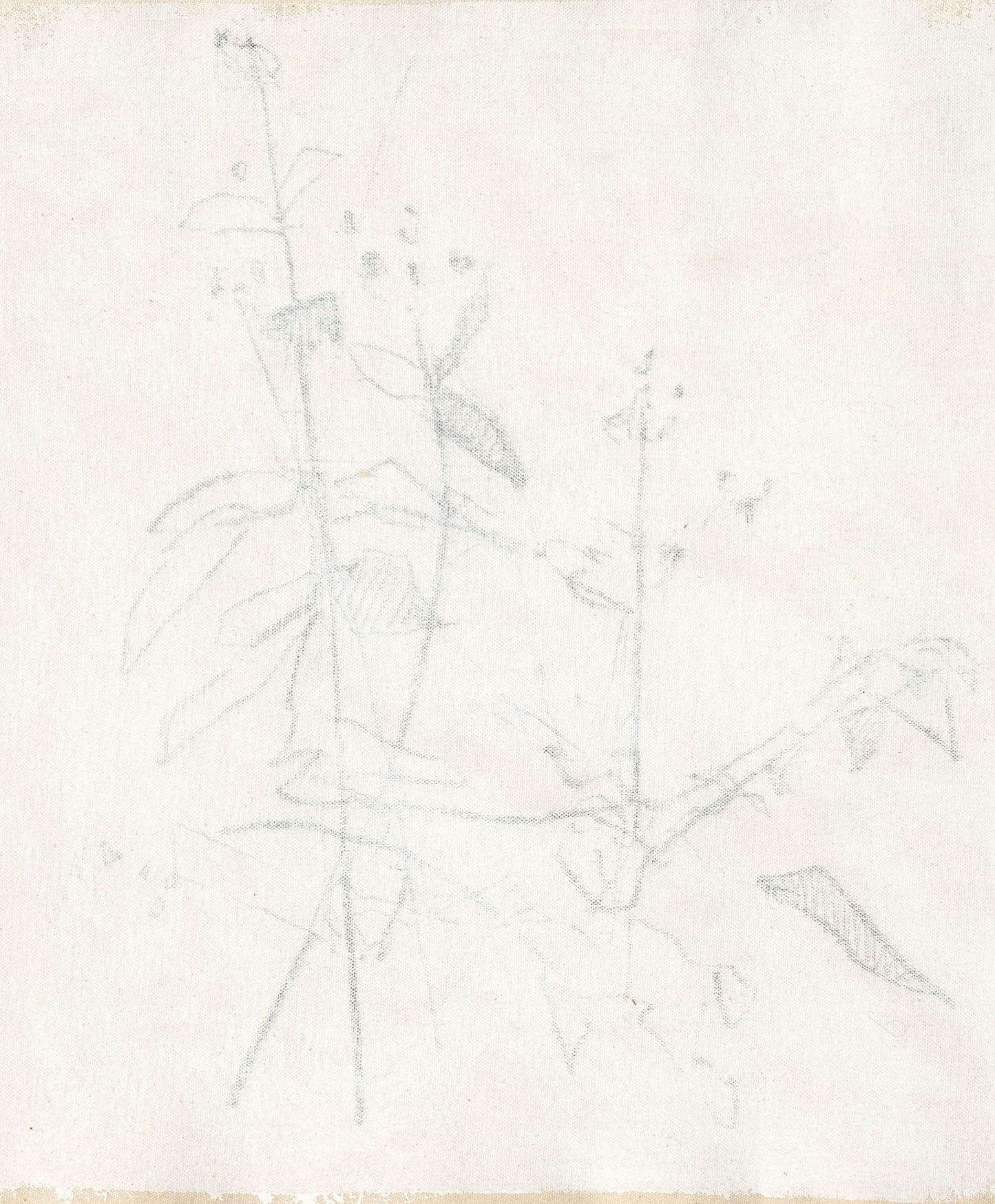 Simon Job Viewer No.6