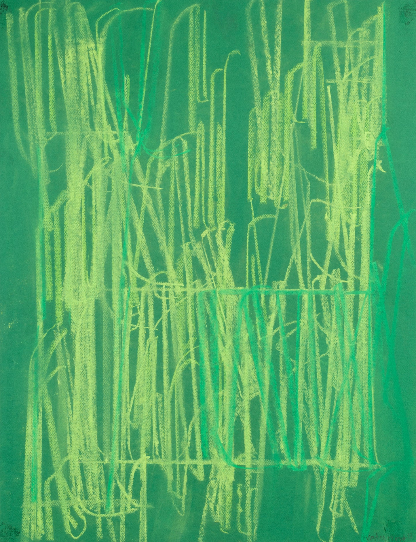 Unathi Mkonto Field Lines 13